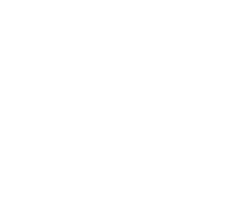 custom Software Development